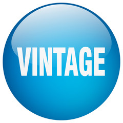 vintage blue round gel isolated push button