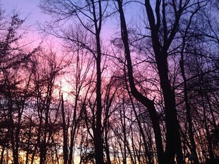 dramatic December sky at sunset