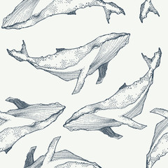 Whales seamless pattern. Animal background. Vector illustration
