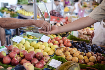 Seller giving change to buyer at fresh fruit stand background 