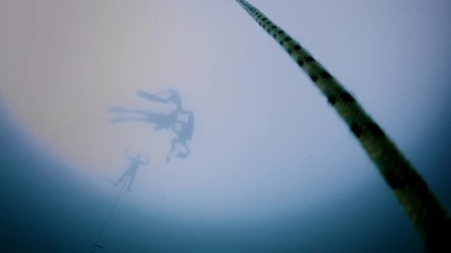 Underwater video of a Freediver in silhouette going down in Free Immersion using a Rope (Transition to black).
