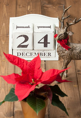 Christmas Eve Date On Calendar. December 24. Poinsettia Flower.