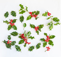 Fresh holly with red berries - numerous small sprigs of fresh natural holly isolated on white to use as design elements for your seasonal greetings