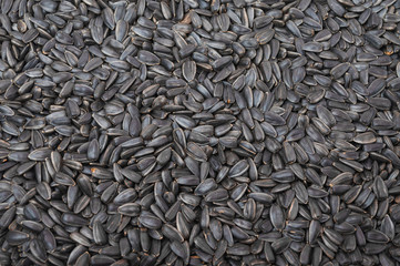 Sunflower seeds background