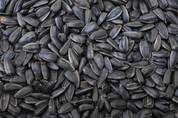 Sunflower seeds background