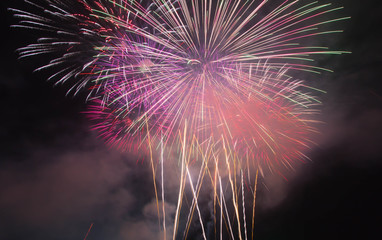 The fireworks display in black sky background to celebration