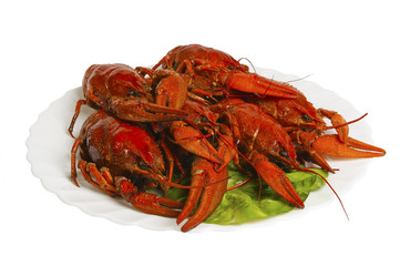 Boiled crayfishes on the plate, isolated