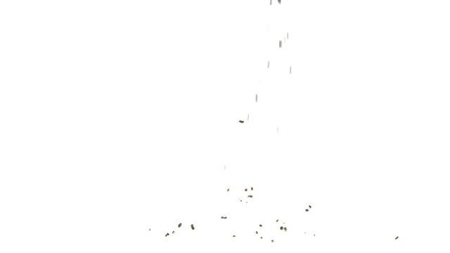 Super Slow Motion Cacao Nibs Falling on White Surface