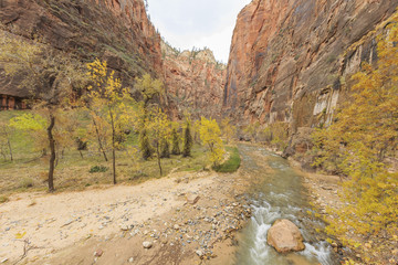 Travelling in the famous Zion National Park