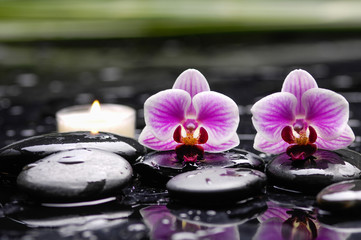 Still life with two orchid with white candle on therapy stones 
