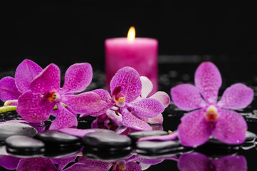 Obraz na płótnie Canvas pink branch orchid with candle on therapy stones 