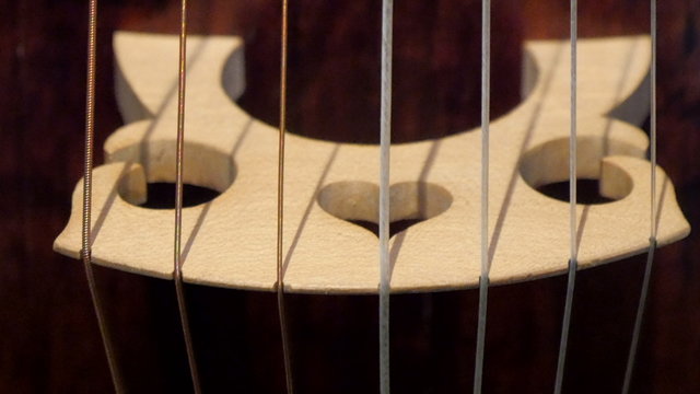 Six strings of the guitar with white and gray colors and heart carvings 