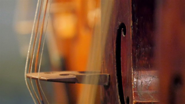 The side view of the violin standing on a room. Seen are the strings and the carving holes