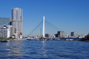 Fototapeta na wymiar 隅田川と中央大橋