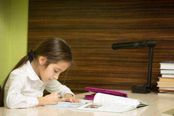 Fototapeta na wymiar clever girl doing homework