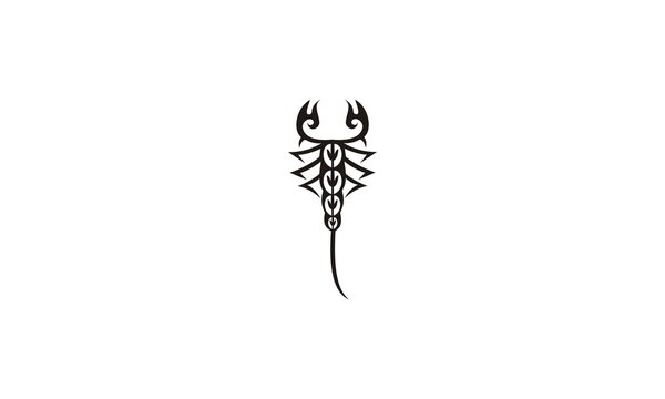 scorpion oriental tribal tatto design