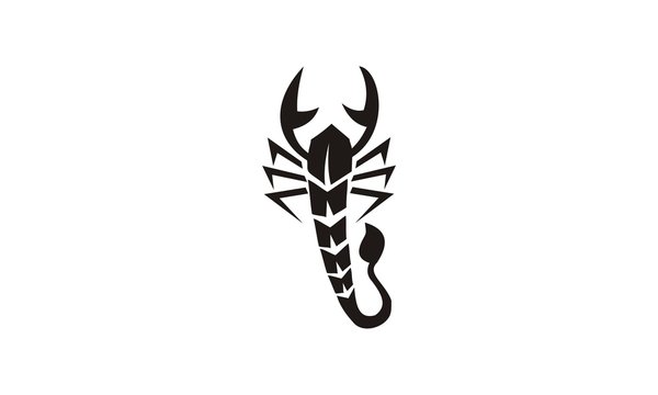  tribal tatto scorpion design