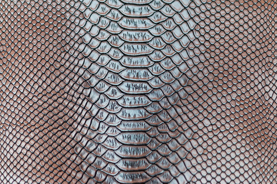 brow snakeskin pattern texture