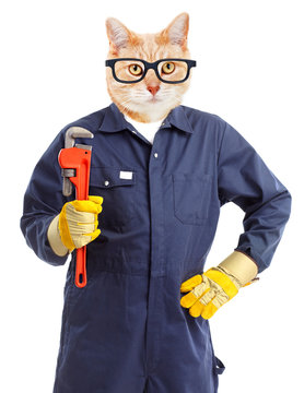 Cat Plumber With Adjustable Wrench.