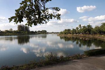 Fototapeta na wymiar Nong Prajak Public Park