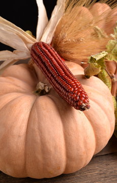 Corn cob red