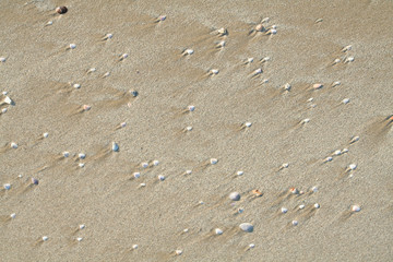 sand sea