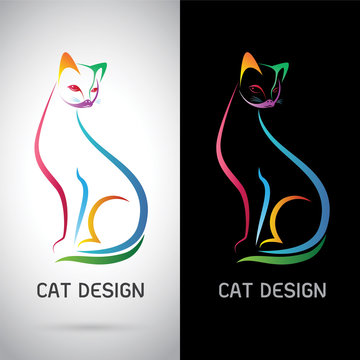 Vector image of an cat design on white background and black back