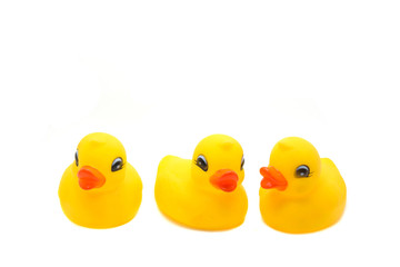 rubber ducks