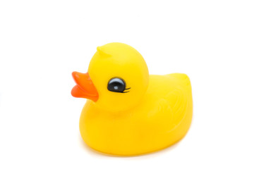 rubber ducks