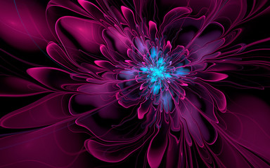 Abstract fractal, purple-cyan wavy flower on black background