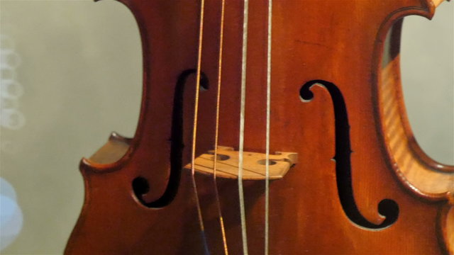 The four-stringed violin on display. The small brown violin is standing on the corner of the room