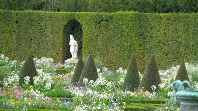 The flowers and the green plants inside the garden of the Versaille castle in France