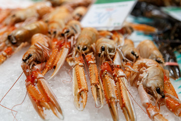 fresh Nephrops on sale at market