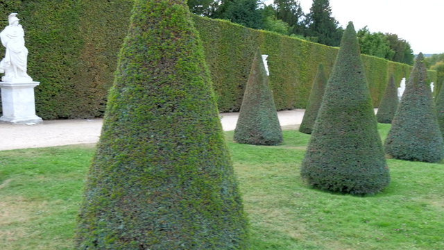 The cone shaped trees on the alley oustide the castle. The green grass and plant borders making the castle more beautiful