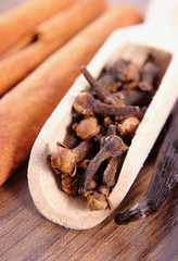 Closeup of cloves, fragrant vanilla and cinnamon on wooden surface plank