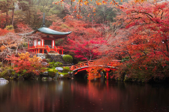 Fototapeta Świątynia Daigo-ji jesienią