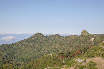 Fototapeta premium An image of trail to Mount Miyanouradake in Yakushima, Japan.