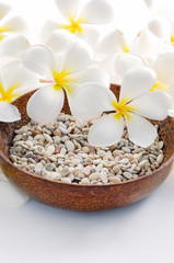 Fototapeta na wymiar wooden bowl of white frangipani and pile stones