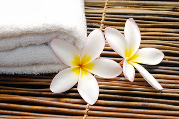 Set of frangipani flower with towel on mat
