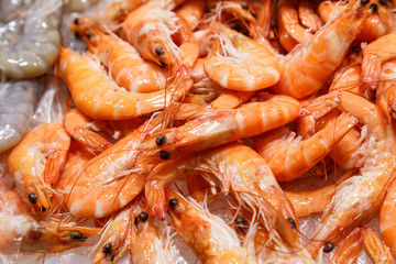 fresh prawn on sale at market