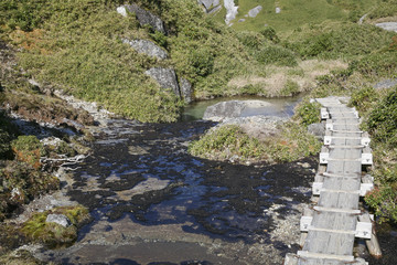 An image of trail to Mount Miyanouradake in Yakushima, Japan