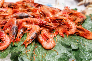 fresh prawn on sale at market
