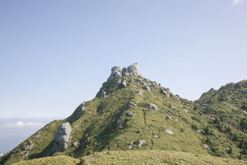 An image of trail to Mount Miyanouradake in Yakushima, Japan