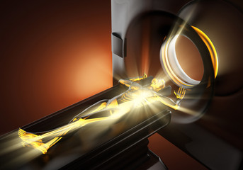 mri examination of human bones