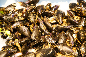Mussels at fish market