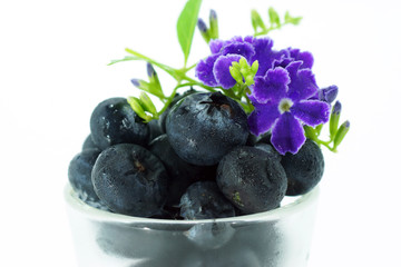 Blueberries with leaves on white background