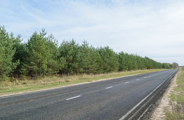 Fototapeta na wymiar Suburban asphalt highway with white intermittent markings