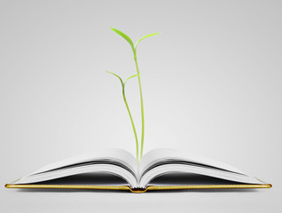 book of fantasy stories