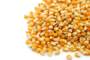corn seeds for cooking popcorn