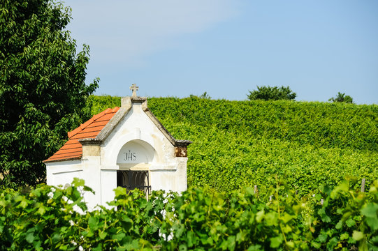 Kleine Kapelle im Weingarten bei Oggau am Neusiedlersee